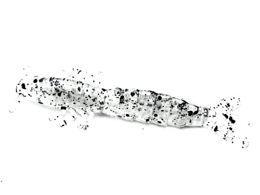 3 Inch Shrimp Soft Plastic Fishing Lure – Salt & Pepper Color –– Made in USA